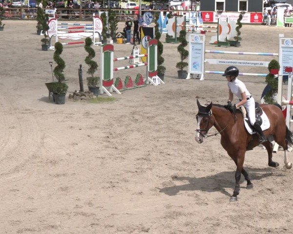 Reitturnier Kirchhellen/Stall Dieckmann 2025