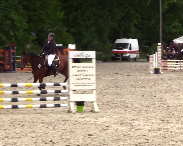 Reitturnier Kropp 2025