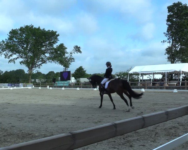 Reitturnier Scharnebeck 2025