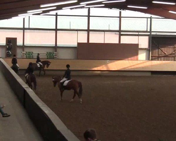 Alt Marl - Hallen-Late-Entry 2014
