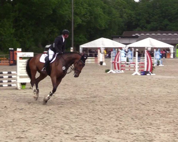 Reitturnier Kropp 2025