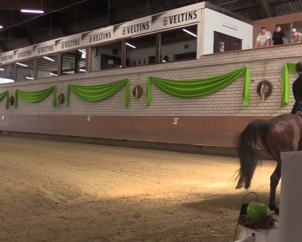 Reitturnier Hellefeld 2025