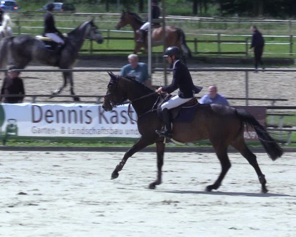 Reitturnier Hamm-Rhynern 2025