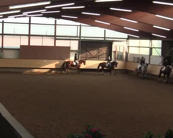 Alt Marl - Hallen-Late-Entry 2014
