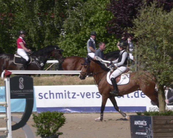 Reitturnier Bornheim-Widdig 2025