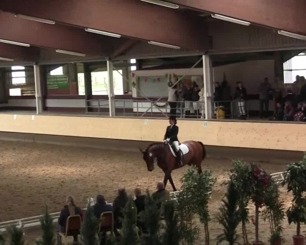 Alt Marl - Hallen-Late-Entry 2014