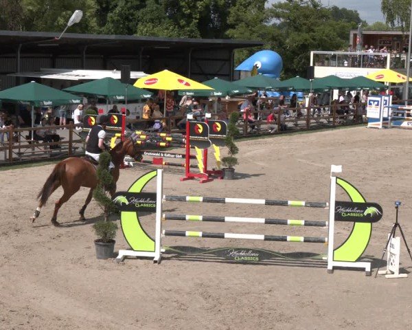 Reitturnier Kirchhellen/Stall Dieckmann 2025