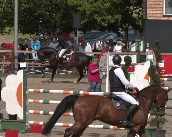 Reitturnier Kirchhellen/Stall Dieckmann 2025