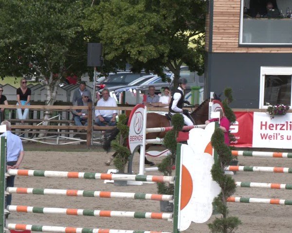 Reitturnier Kirchhellen/Stall Dieckmann 2025