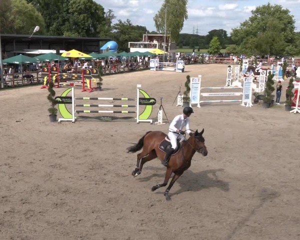 Reitturnier Kirchhellen/Stall Dieckmann 2025