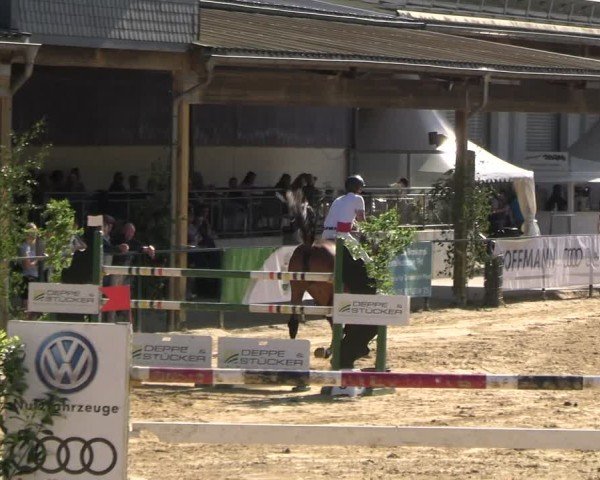 Reitturnier Hellefeld 2025