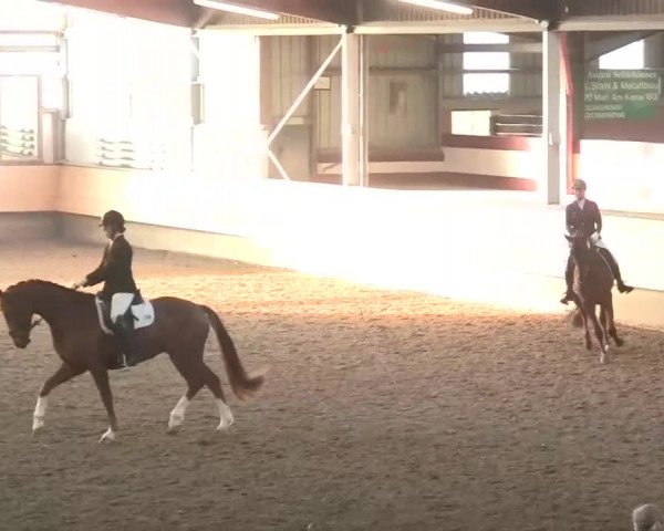 Alt Marl - Hallen-Late-Entry 2014