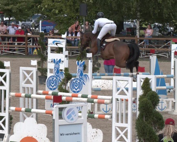 Reitturnier Kirchhellen/Stall Dieckmann 2025
