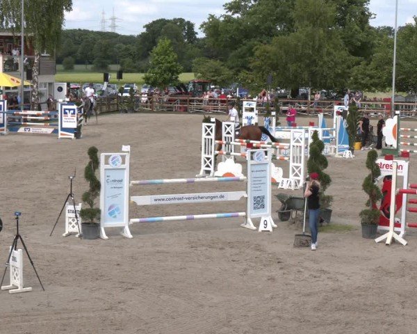 Reitturnier Kirchhellen/Stall Dieckmann 2025
