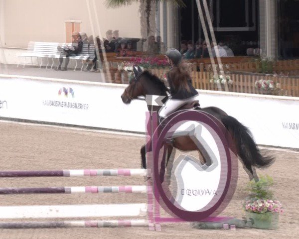 Reitturnier Lassee 2025