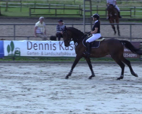 Reitturnier Hamm-Rhynern 2025