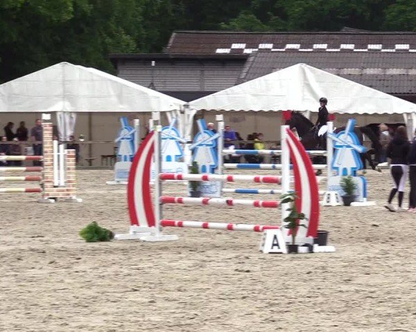 Reitturnier Kropp 2025