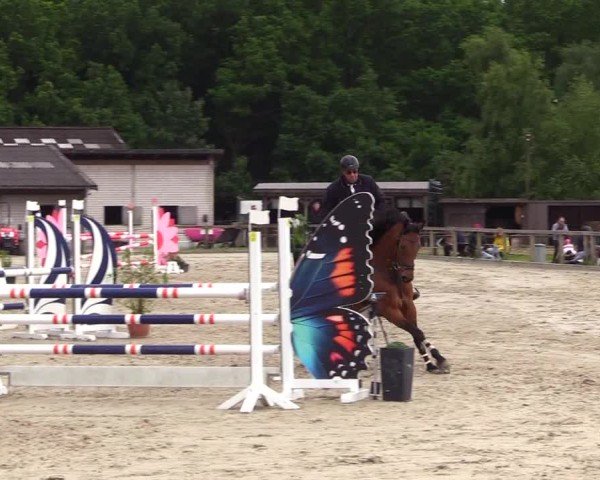 Reitturnier Kropp 2025
