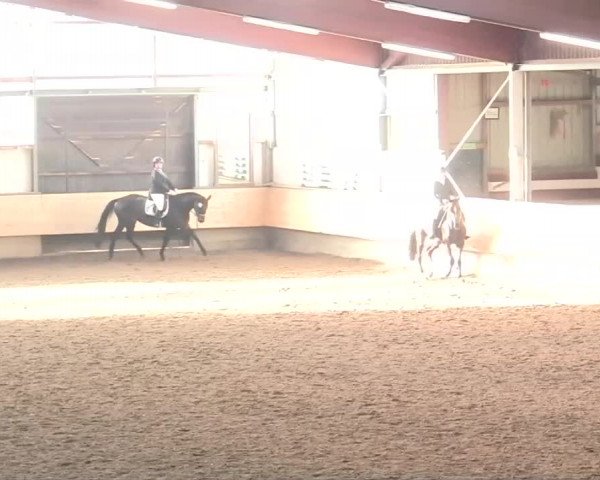 Alt Marl - Hallen-Late-Entry 2014