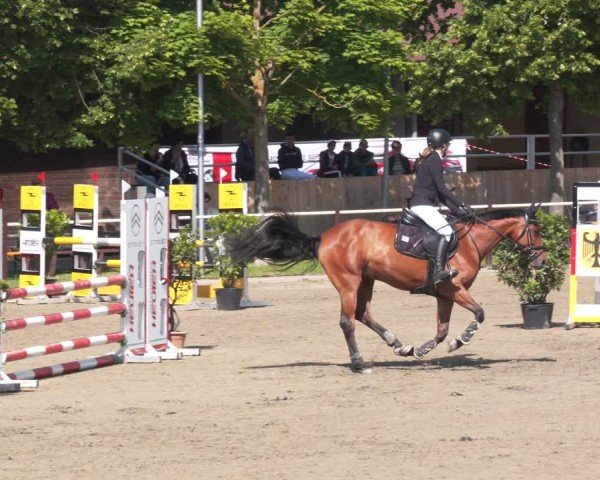 Reitturnier Kitzscher / Reitanlage Heuter 2025