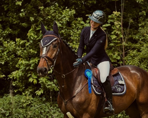 Springpferd Diego 615 (Deutsches Sportpferd, 2019, von Diego de Semilly)