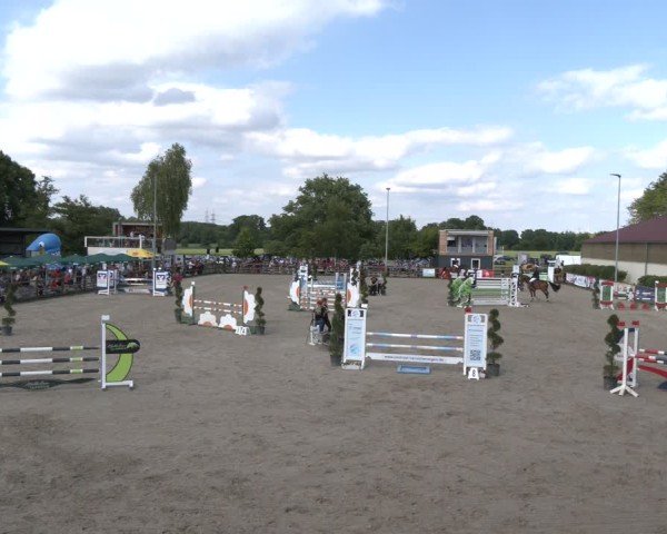 Reitturnier Kirchhellen/Stall Dieckmann 2025