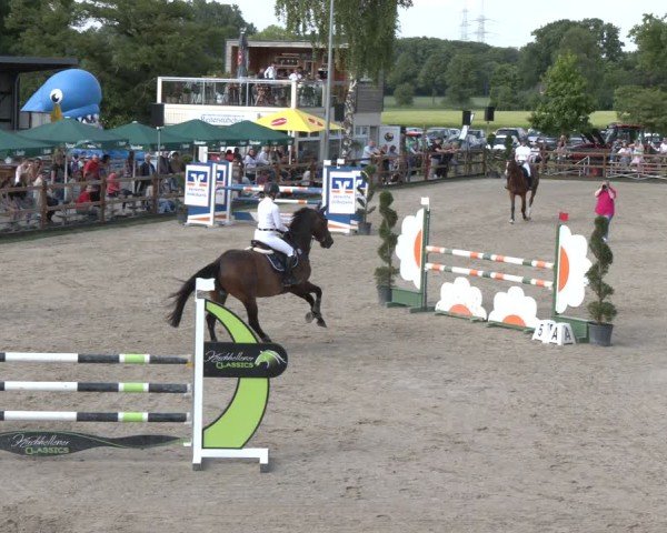 Reitturnier Kirchhellen/Stall Dieckmann 2025