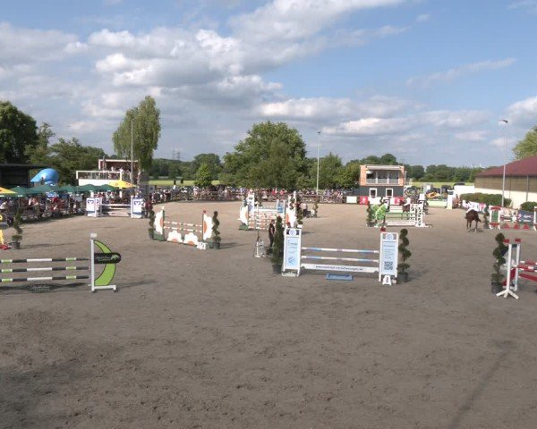 Reitturnier Kirchhellen/Stall Dieckmann 2025
