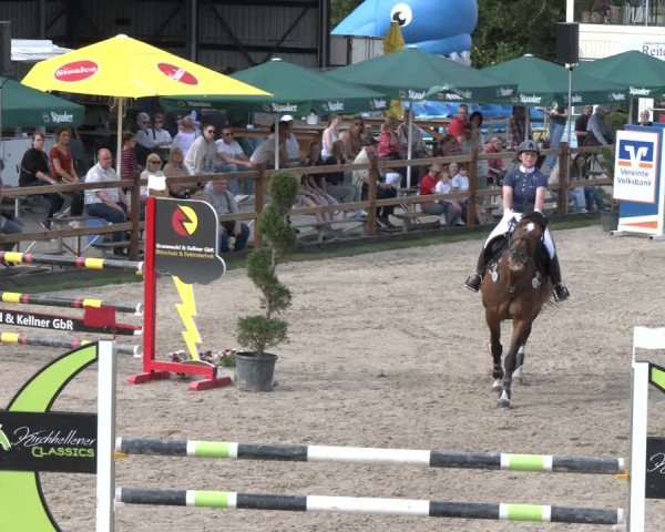 Reitturnier Kirchhellen/Stall Dieckmann 2025