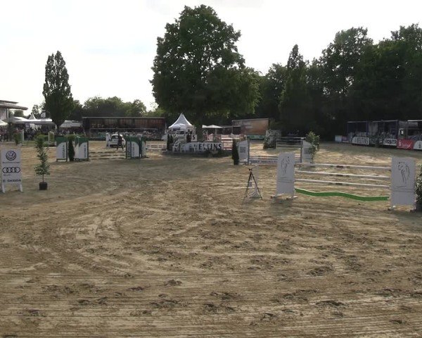 Reitturnier Hellefeld 2025