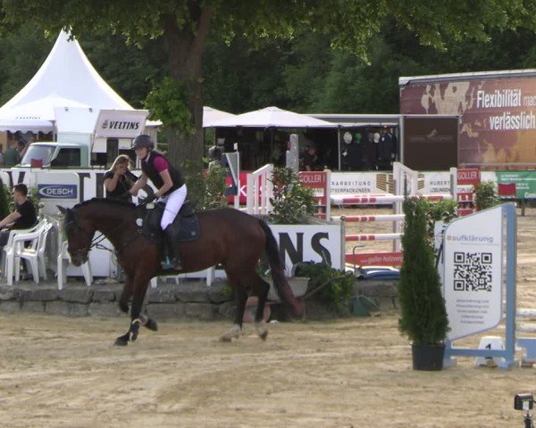 Reitturnier Hellefeld 2025