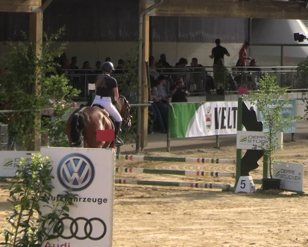 Reitturnier Hellefeld 2025