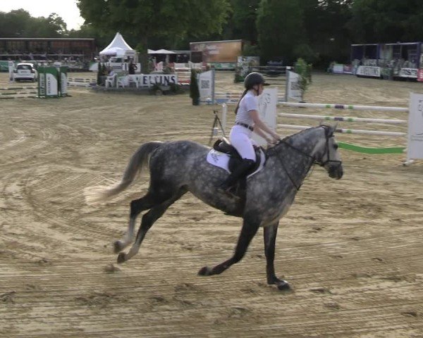 Reitturnier Hellefeld 2025