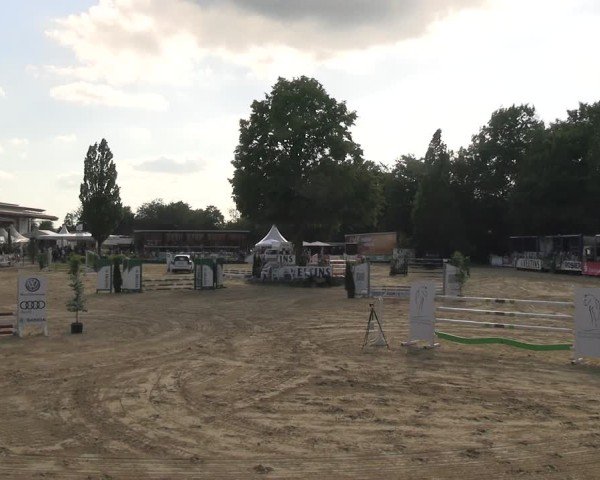 Reitturnier Hellefeld 2025