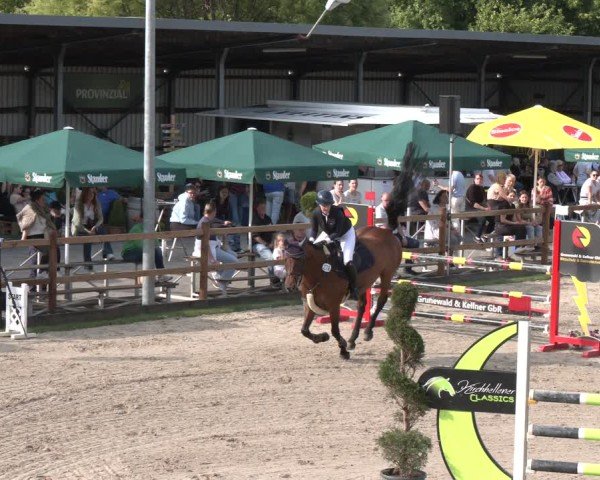 Reitturnier Kirchhellen/Stall Dieckmann 2025