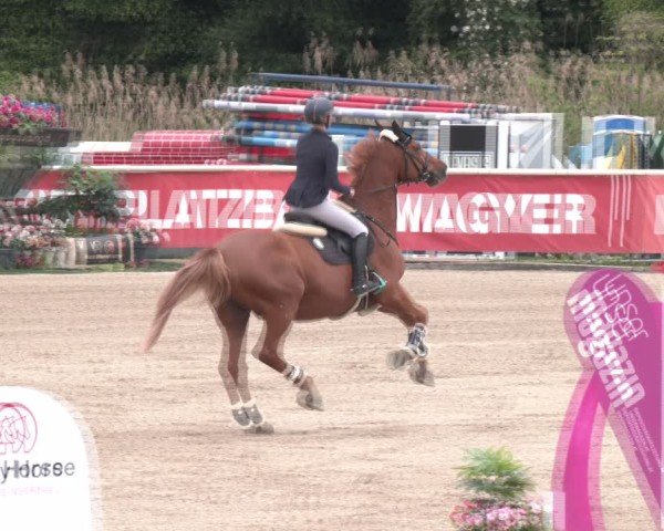 Reitturnier Lassee 2025