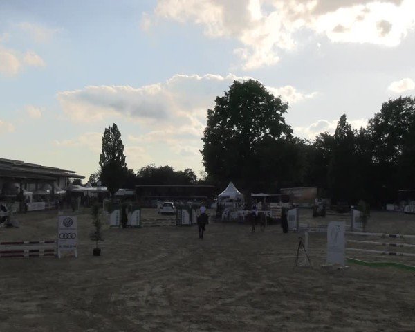 Reitturnier Hellefeld 2025