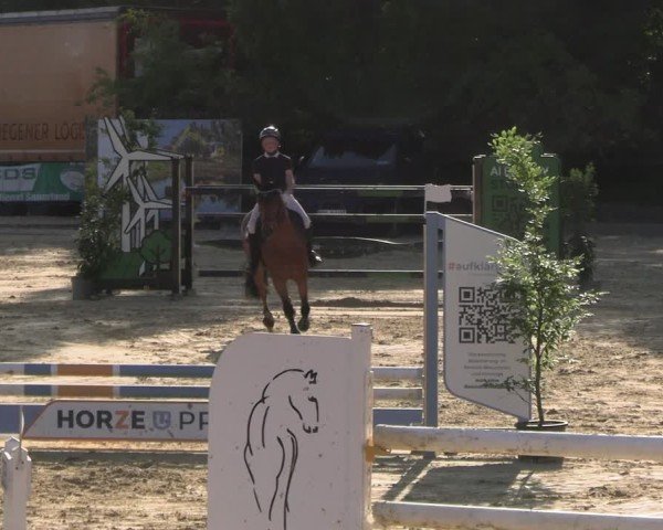 Reitturnier Hellefeld 2025