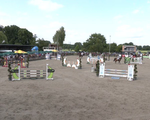 Reitturnier Kirchhellen/Stall Dieckmann 2025
