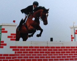 broodmare Venice 18 (Holsteiner, 2005, from Quite Capitol)