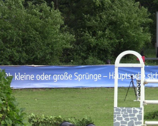 Reitturnier Scharnebeck 2025