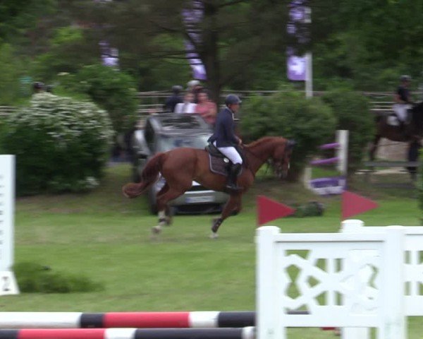 Reitturnier Scharnebeck 2025