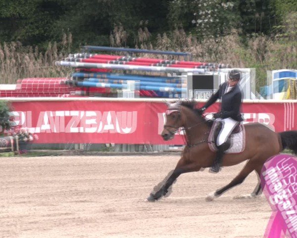 Reitturnier Lassee 2025