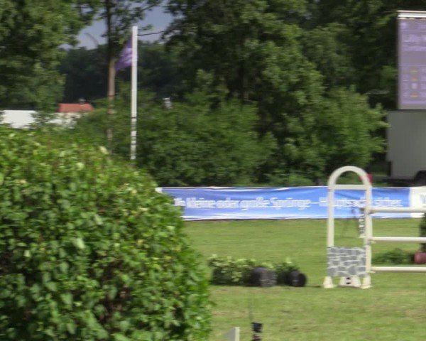 Reitturnier Scharnebeck 2025