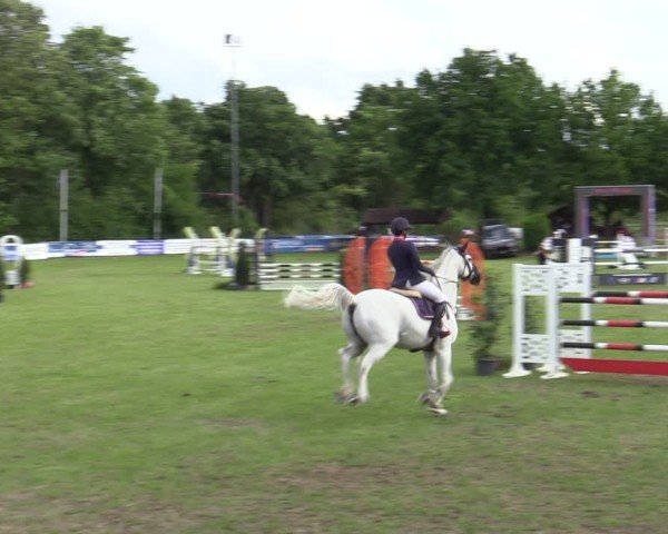 Reitturnier Scharnebeck 2025