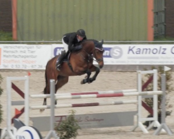 jumper Diamant's Boy (Holsteiner, 2015, from Diamant de Semilly)