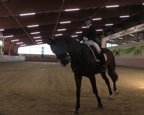 Reitturnier Hellefeld 2025