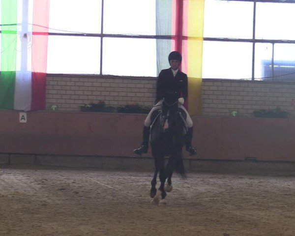 Reitturnier Hellefeld 2025