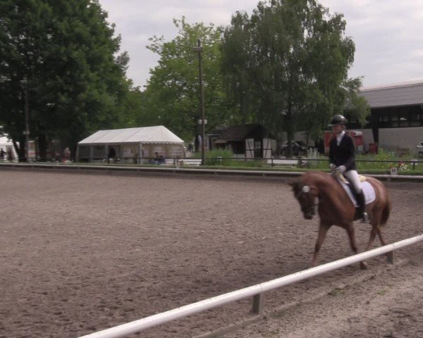 Reitturnier Hamm-Rhynern 2025