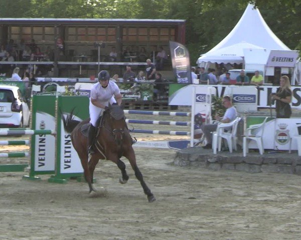 Reitturnier Hellefeld 2025